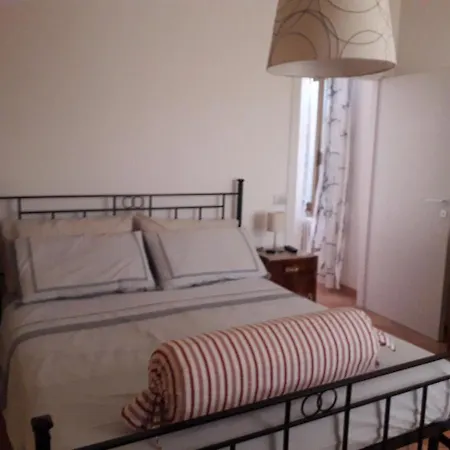 Bouganville A 西维尔诺瓦·马尔凯