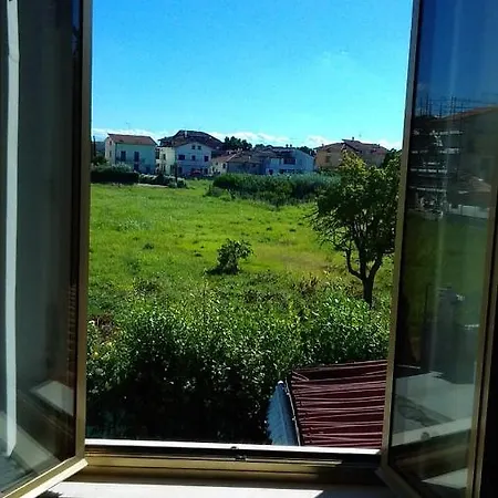 Bouganville A Civitanova Marche