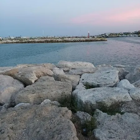 Bouganville A *
