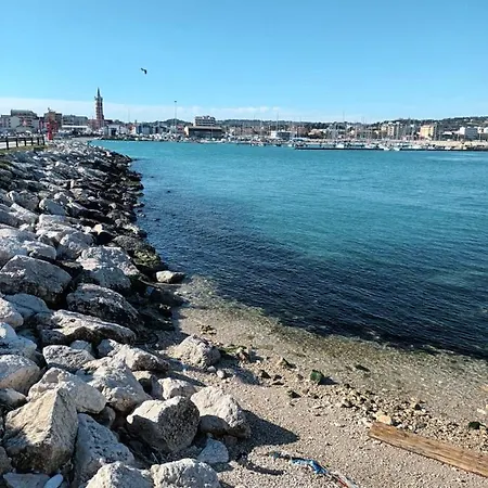 Bouganville A *
