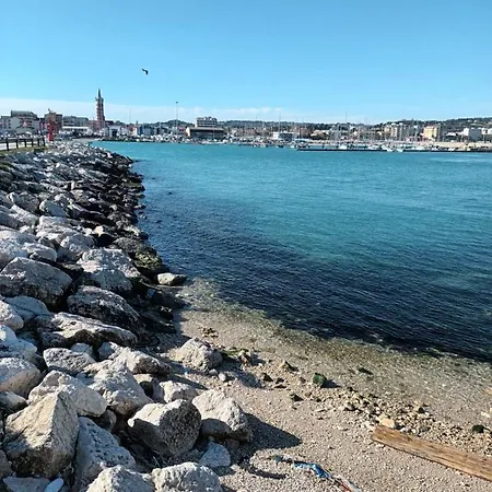 Bouganville A *