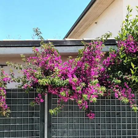 Apartment Bouganville A